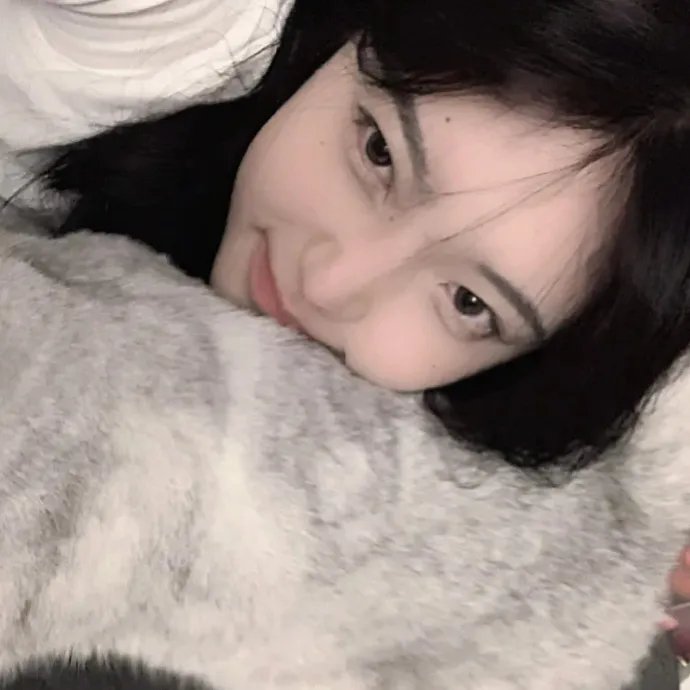 如翼之舟 高清在线观看
